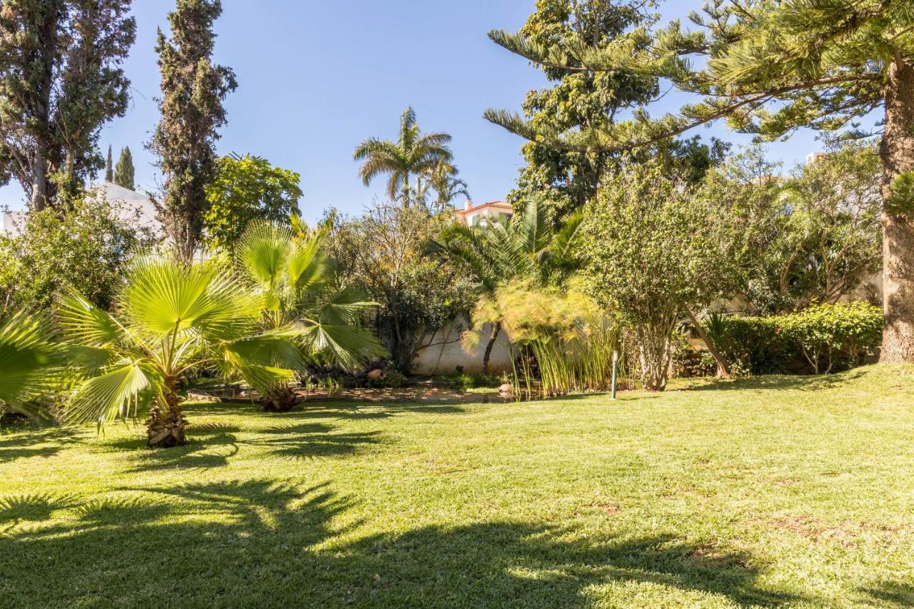 Apartment Echium T2 Canico (Madeira)